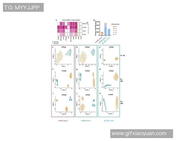 武汉排球队团队协作表现数据分析与提升策略探讨